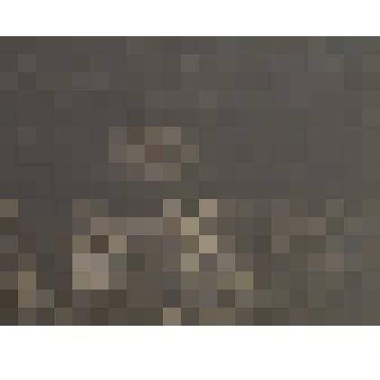 "Корень жизни"