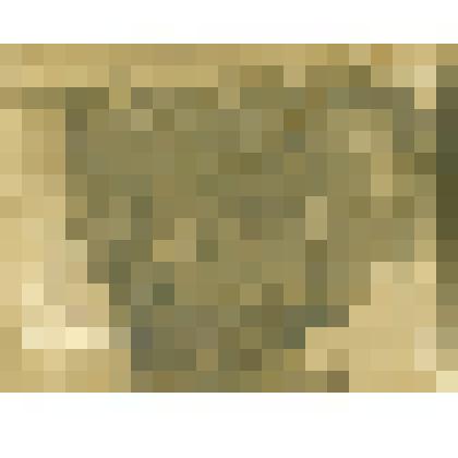 Групповая фотография, в верхнем ряду крайний справа - Платонов Г. А., уроженец с. Песоченский Завод, участник первой Мировой войны