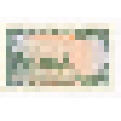 Денежный знак Южного Вьетнама. 1 донг