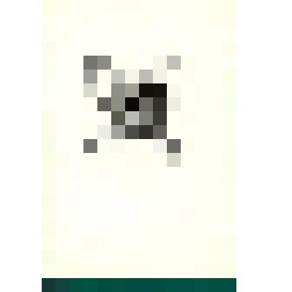 Иллюстрация к повести Кассиля Л.А. "Кондуит и Швамбрания". Графика