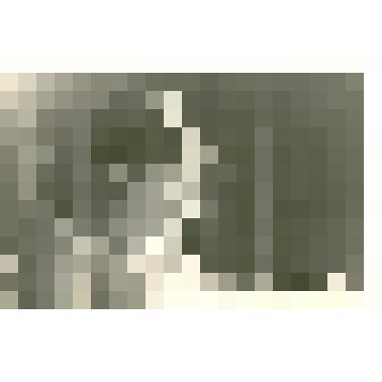 Фотография: районное совещание колхозников. Выступает будущий специалист, секретарь комсомольской организации с/х техникума Саша Черепанова