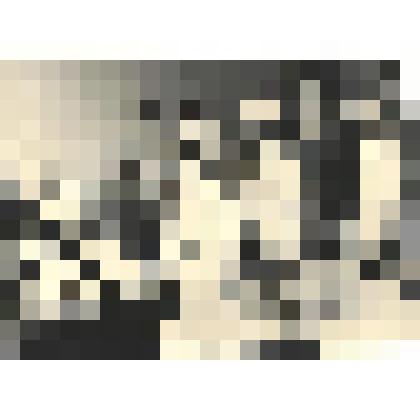 Фотографии. Фото ч/б . Хакасская областная больница. Обход во II-м хирургическом отделении ведут Саликер С.С. зав.отделением и хирурги Филимонов Ю.Д., Глуханов Ю.А. и медсестры 60-ые годы XX в