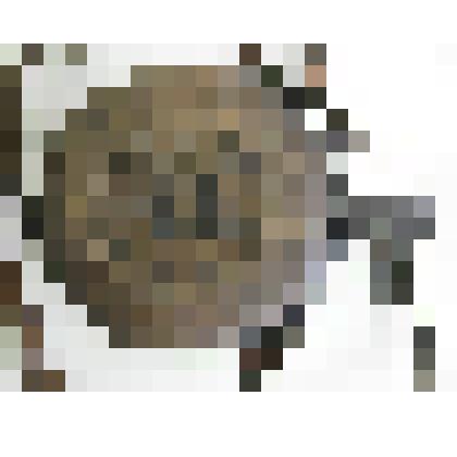 Пороховница