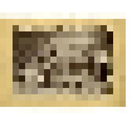 Фотография. Семеновский уезд. Роспись деревянной посуды