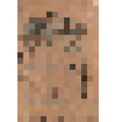 Книга: Русское чтение. Сборник стихотворений А.В. Кольцова. С. Петербург, печатня Р. Голике, 1902 г