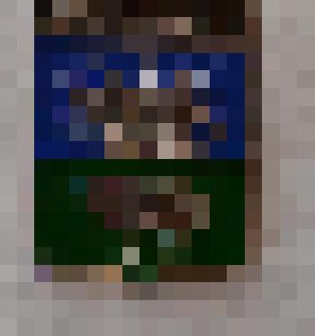 Значок « Каинск»