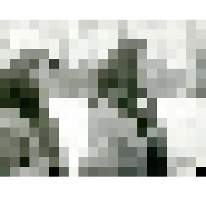 Фотография. Типы тунгусок. Оз. Сэнгнэке