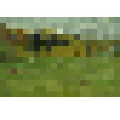 Картина. Осенний пейзаж. Этюд