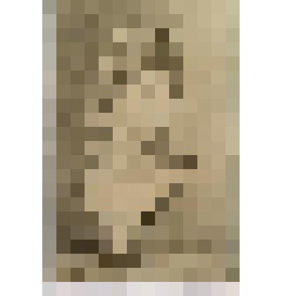 Голова Аполлона. Рисунок с гипса