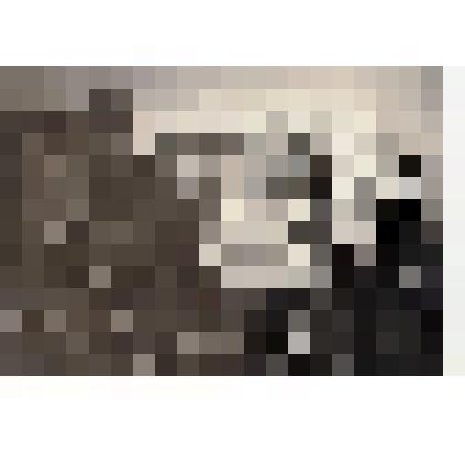 Ф/чб. Кабинет биологии ср. школы № 24 г. Энгельс. Слет юнатов (пионервожатая Потапова Н.Г. с ученицами). 4.10.1953 г