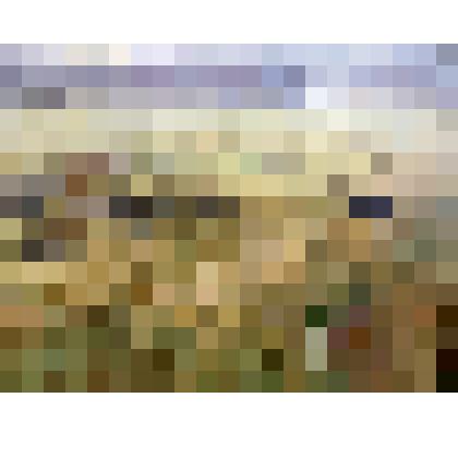 На пастбище в деревне Марусино