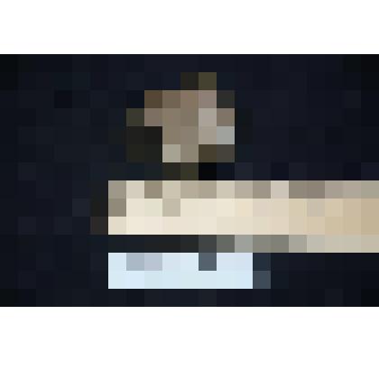 Раковина двустворчатого моллюска