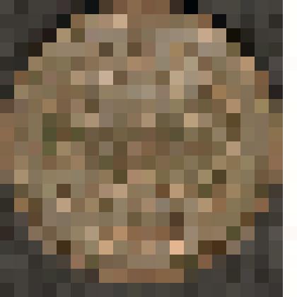 Монета. 10 копеек. Россия страна