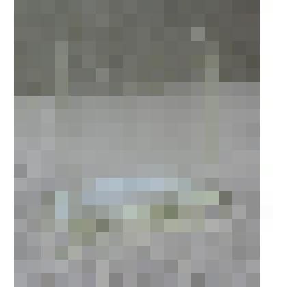 Карандашница - часть письменного прибора