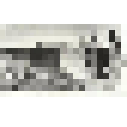 Фотография Раскопки меотского городища ст. Васюринская  1999 г