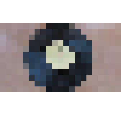 Грампластинка