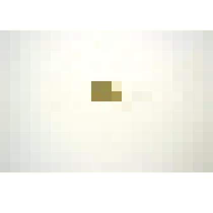 Гиря лабораторная