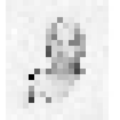 Фотопортрет одиночный погрудный черно-белый - Ходырева Н. В