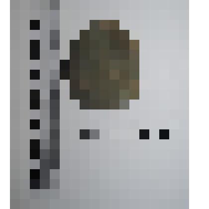 Лощило из галечного скола неправильной округлой формы,  дугообразный край со следами сработанности