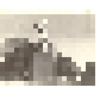 Фотография: памятник В.И.Ленину в г.Камне-на-Оби Алтайского края