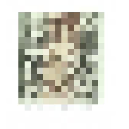 EX LIBRIS SB. Из книг Сергея Бродовича. 2005