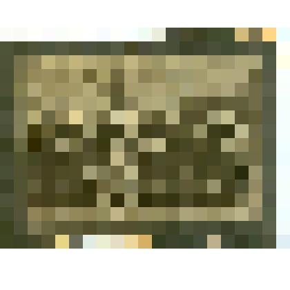 Фотография. Групповой портрет военнослужащих 3 роты 14 пехотного Олонецкого полка Варшавского военного округа