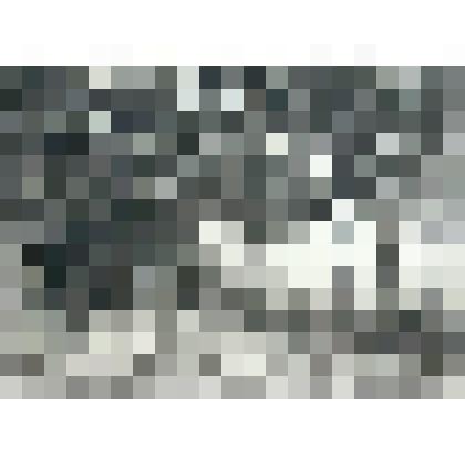 "Рубка леса". Гравюра