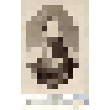 Фотография черно-белая. Урнижевский Сергей Николаевич