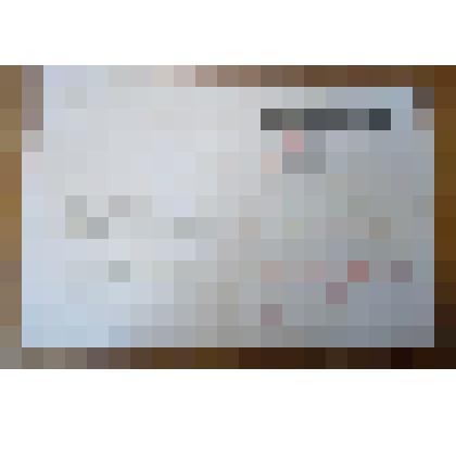 Свидетельство ВДНХ СССР №98770 тов. Нугис Эвальд Иоганесович