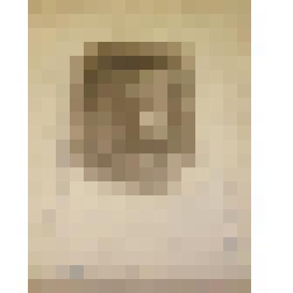 Фотография. Михаил Васильевич Фрунзе