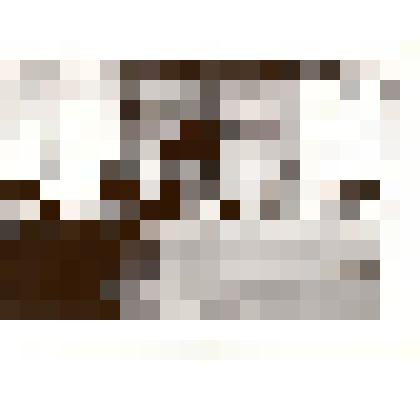 Фотография: митинг, посвященный закладке монумента в честь 20-летия освоения целинных и залежных земель. За трибуной бывший директор Каменской МТС Мирошниченко Михаил Иванович