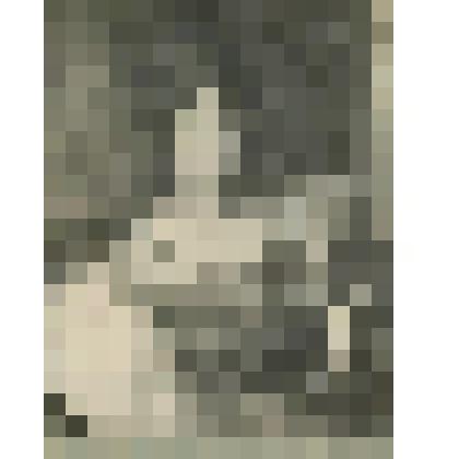 Фотография в альбоме. Портрет Бакуниной Анны Борисовны. Из собрания А.А. Оленина. Из комплекта: Фотографии из семьи Олениных