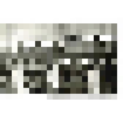 Фотография видовая. Конкурс профессионального мастерства между бригадами ДСК на строительстве спроткомплекса