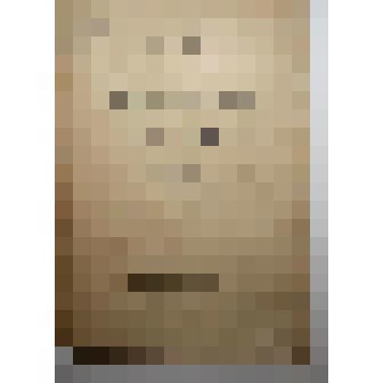 Книга. Силосование кормов.  Государственный Трест "Петропечать" - тип. "Пропагандист"