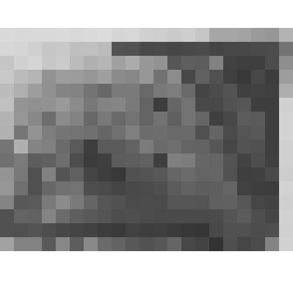 Большой дворец. Куропаточная гостиная. Плафон "Утро". Фрагмент (правая верхняя часть) в процессе реставрации