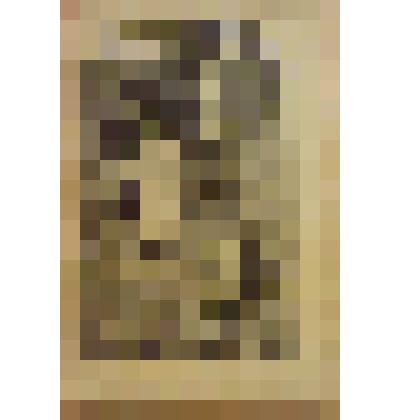 Книга. Прус Б. Простая душа [Text] / Издательство в книге не указано. - М. : Издательство "Посредник" (№ 141), 1895 (Типо-литография И.Е.Ермакова)