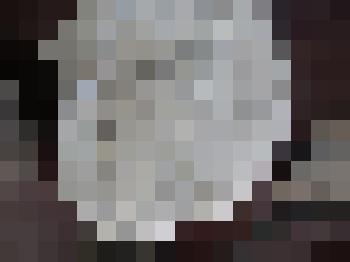 Окаменелость устрица