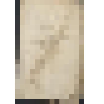 Архив А.А. Грязнова. Выборки из конторских книг Ново-Мариинского прииска, Базилевских, Даниловского прииска Ко Красильникова и Трудного прииска Ячменева. Опись имущества приисков и мемориал прихода-расхода продовольствия и товаров