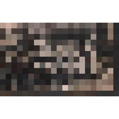 Фото: «Учителя и учащиеся Шебалинской средней школы на фоне школы №1»