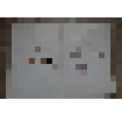 Благодарственная грамота первого заместителя Министра Обороны СССР  Кочетова К. полковнику Полякову А. Н. за безупречную службу в Вооруженных Силах