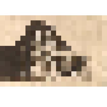 Открытка " Мавзолей В.И.Ленина"// Серия открыток, посвященных В.И. Ленину. Издательство Межрабпома