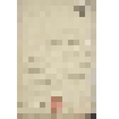 Документ. Позволение директора Московского почтамта Николая Пестеля, выданное священнику церкви  Архангела Гавриила  Василию Петрову, на сочетание браком  почтальона Московского Почтамта  Егора Петрова и вдовы почтальона Егора Савельева Акулины Исаевой