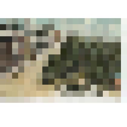 Открытка.Одесса. Вид на Николаевский бульвар с террасы  Городской Думы