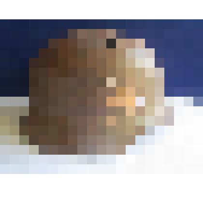 Каска немецкого солдата