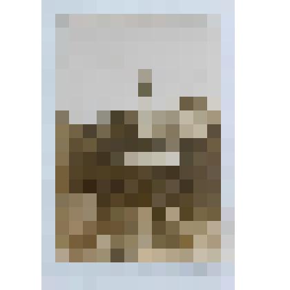 Фотография памятника В.И.Ленину на площади им.Горького в Пронске