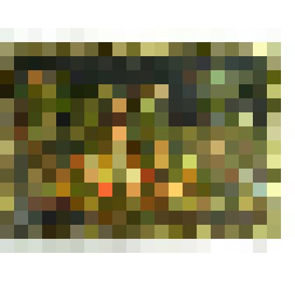 Коробка «Сбор плодов»