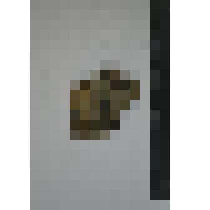 Сосуд. Фрагмент