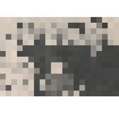 Фото групповое "Семья Райдер Андрея Андреевича, репрессированного"