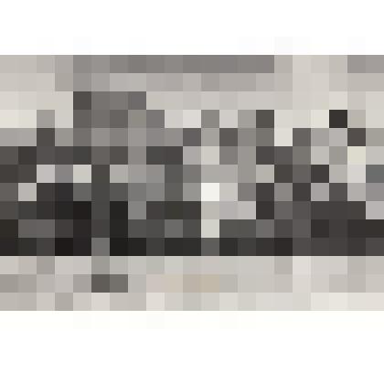 Ф/чб. Мостоотряд-8. Встреча ветеранов войны и труда. Энгельс. 1995