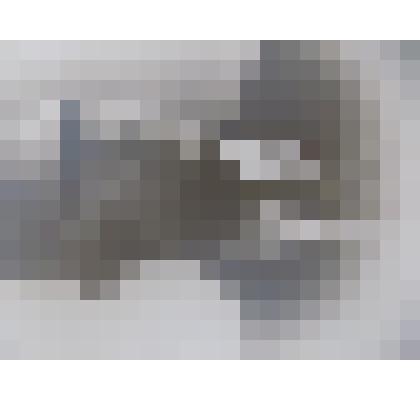 Фотопортрет А.А.Первенцева